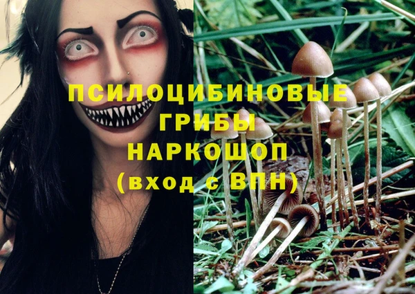 не бодяженный Володарск