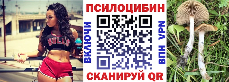 Галлюциногенные грибы MAGIC MUSHROOMS  Купить где  Нюрба 