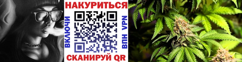 Купить где Нюрба Каннабис ГИДРОПОН